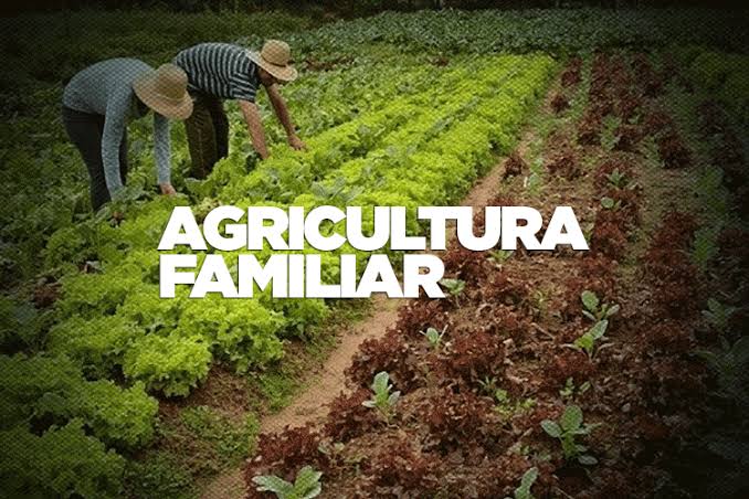 Candidata Elisângela Moura, é exemplo de luta pelo fortalecimento da agricultura familiar no Piauí 2 images 11