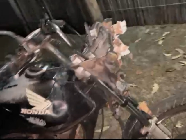 IMG 20241117 001424 1