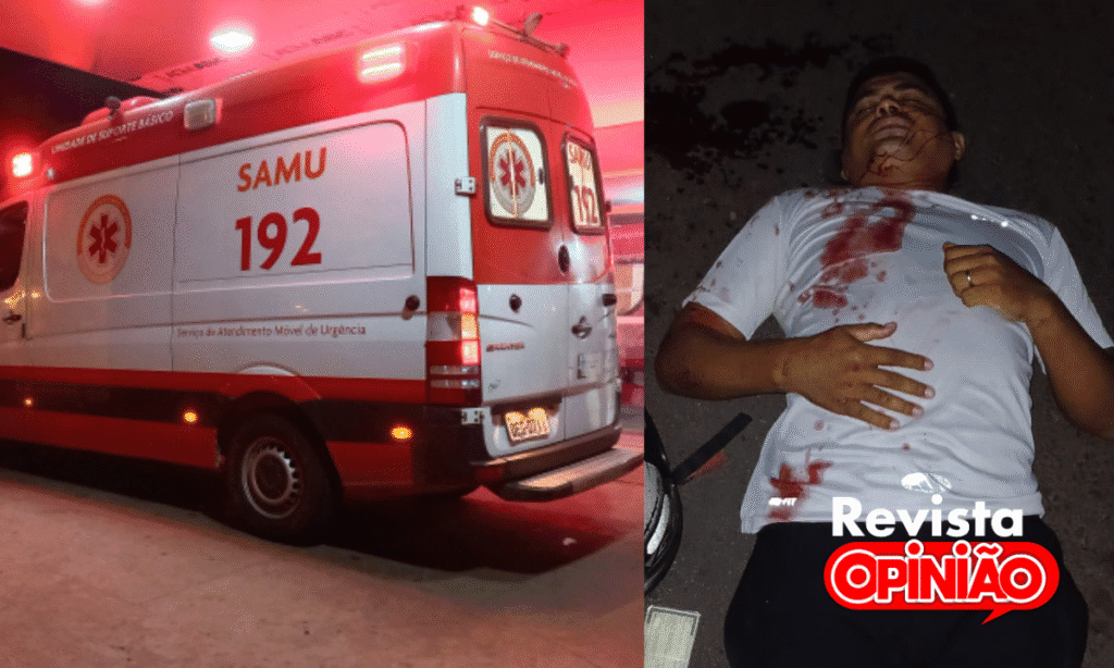 Acidente com animal deixa pai e filha feridos na PI-113 em José de Freitas 2 1000106125