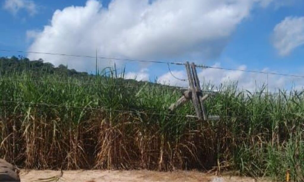 Capa Apagao em JF