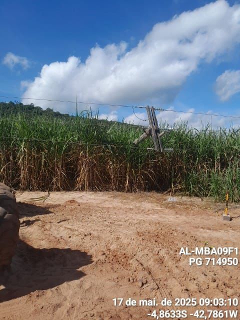 APAGÃO: Trator derruba postes e deixa José de Freitas sem energia por quase 10h 2 WhatsApp Image 2025 05 17 at 18.26.02 1