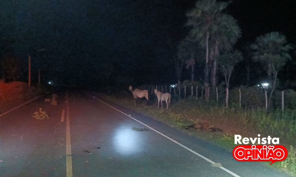 Motoqueiro fica ferido em colisão com cavalo na zona rural de José de Freitas 2 acidente com cavalo 1