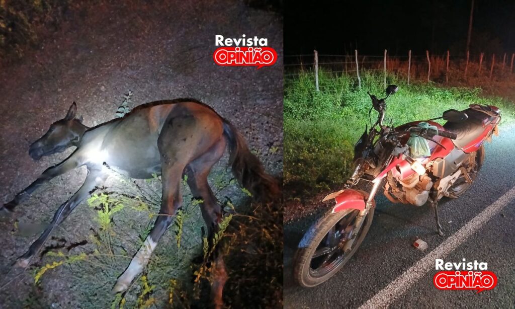 Motoqueiro fica ferido em colisão com cavalo na zona rural de José de Freitas 1 acidente com cavalo 2