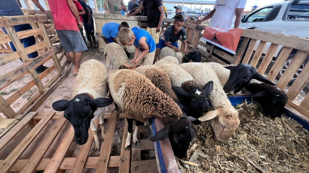 Expo José de Freitas valoriza o campo e movimenta a economia local com exposição de animais e programação técnica 1 674e783c a2a8 4cf1 9f2a 347d7c7b6ad0