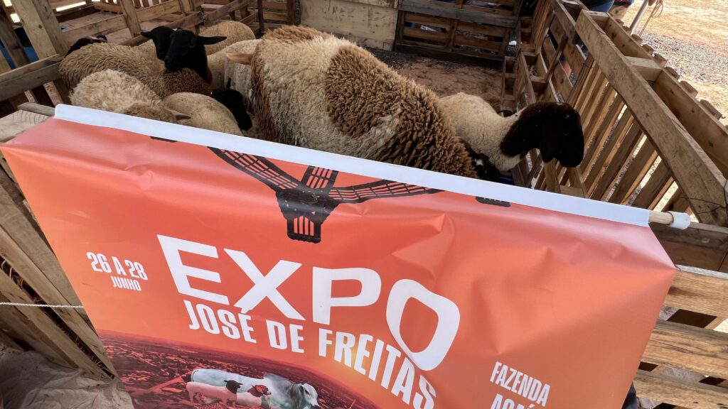 Expo José de Freitas valoriza o campo e movimenta a economia local com exposição de animais e programação técnica 2 6d46629e c16d 4cea 8840 38d1313f4e8f