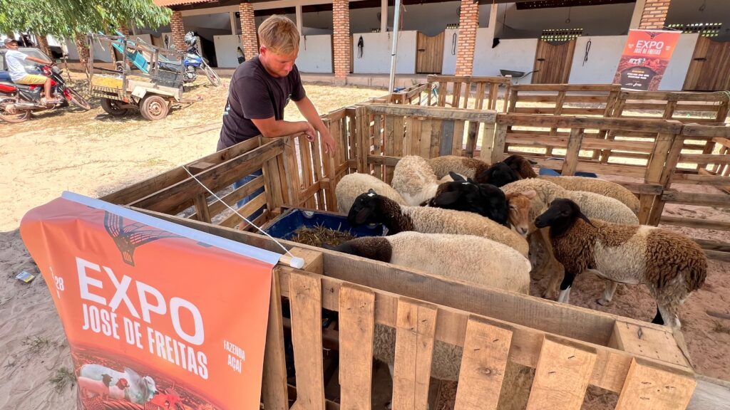 Expo José de Freitas valoriza o campo e movimenta a economia local com exposição de animais e programação técnica 3 bed0aefe ef13 4d2f b139 a33f6383f8b4