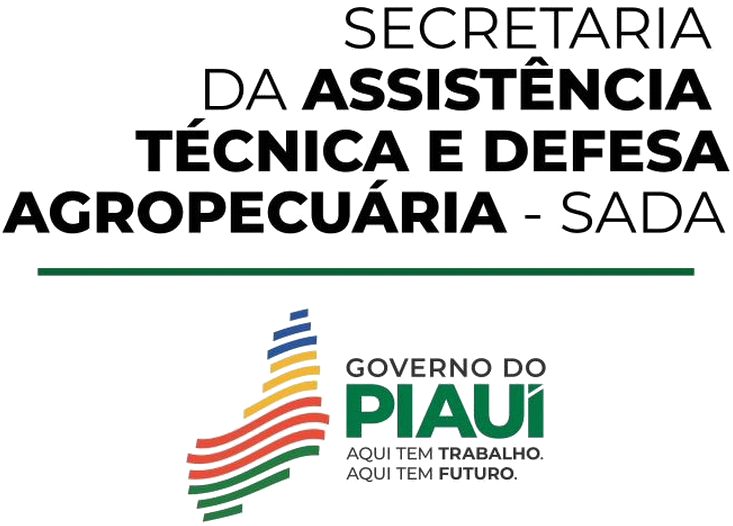 Esquenta Camp IV: Vaquejada em José de Freitas promete agitar o Piauí com R$ 20 mil em prêmios 5 c11912b4 a8f8 4db8 ac5d 5d67d462024d