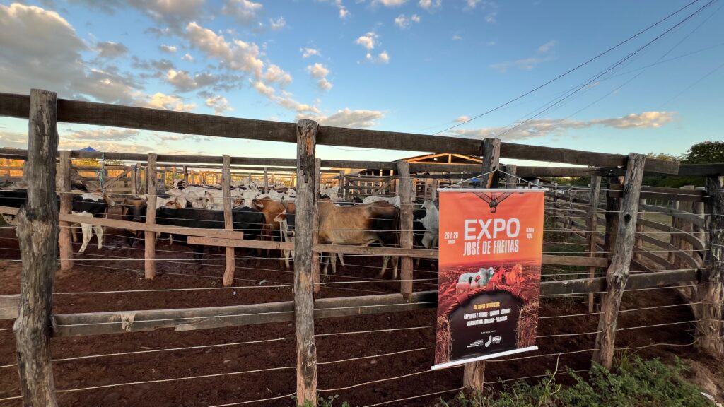 Expo José de Freitas valoriza o campo e movimenta a economia local com exposição de animais e programação técnica 4 c289ac4c 12b9 4cdd b2a6 1c227475f24b