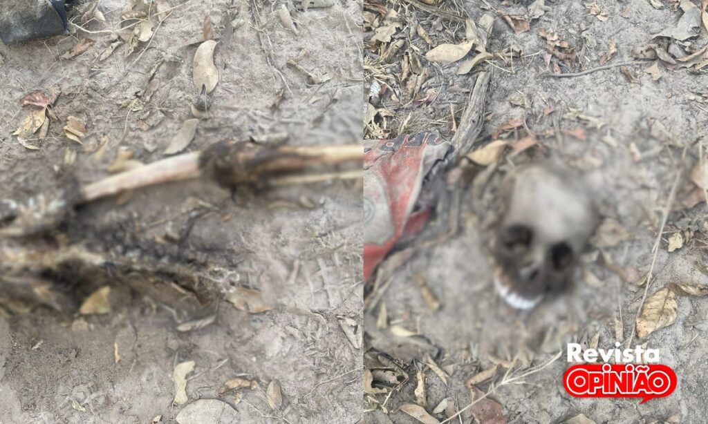 Ossada humana é encontrada em matagal na zona rural de José de Freitas 2 Ossada human encontrada em Jose de Freits 2