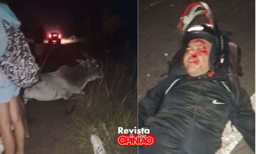 Professor fica ferido após colidir com animal na PI-113 próximo ao riacho do Cipó em José de Freitas 2 capa acidente professor