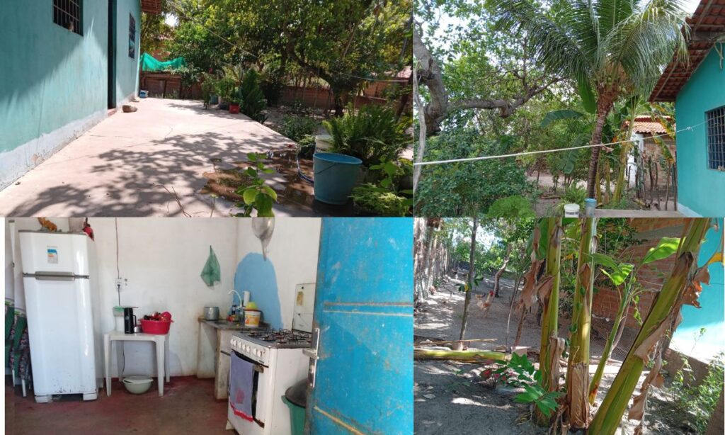 Oportunidade: chácara com casa é colocada à venda a apenas 5 km de José de Freitas 1 chacara venda 2