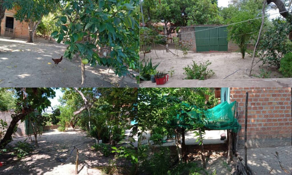 Oportunidade: chácara com casa é colocada à venda a apenas 5 km de José de Freitas 3 chacara venda 4