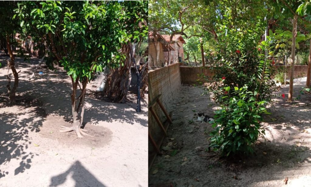 Oportunidade: chácara com casa é colocada à venda a apenas 5 km de José de Freitas 4 chacara venda 5