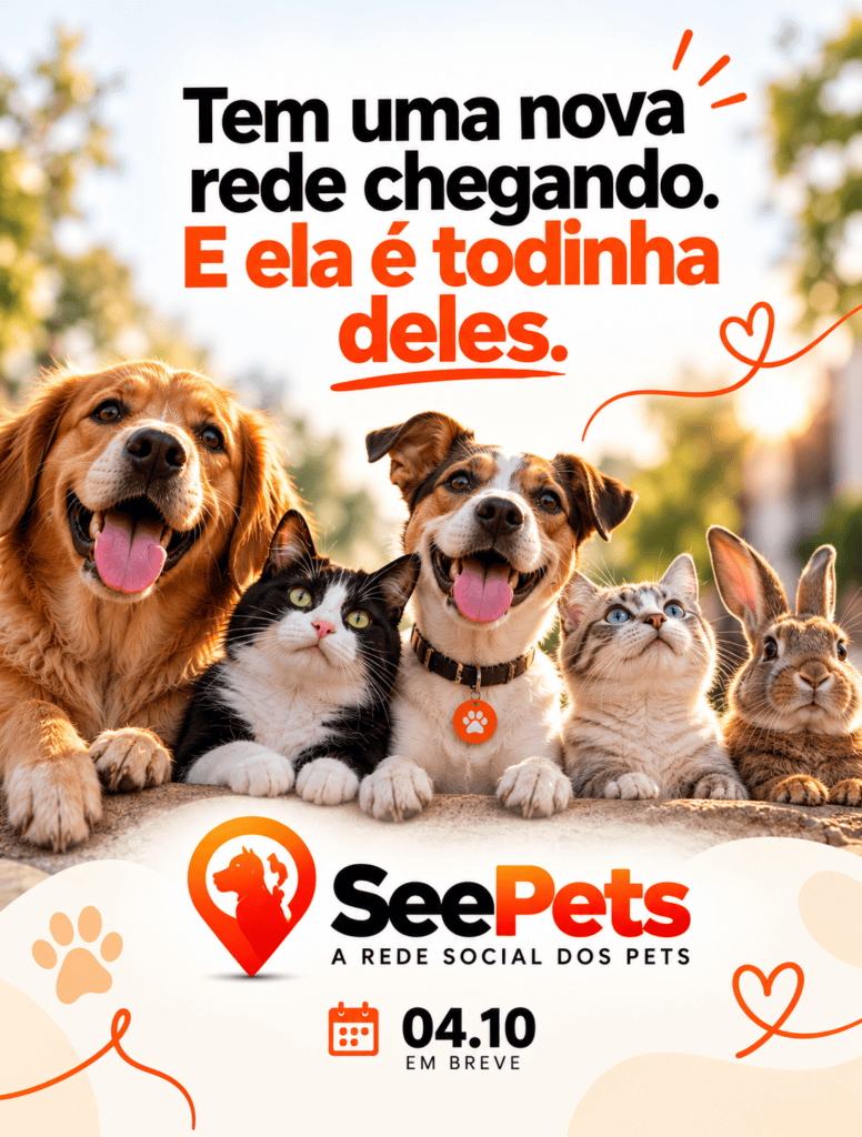 De José de Freitas para o mundo: SeePets transforma ideia de quase dez anos em rede de proteção animal 2 0ff6d2ff 44a3 4711 8546 c5993c06be14